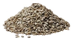 sunflower-seeds